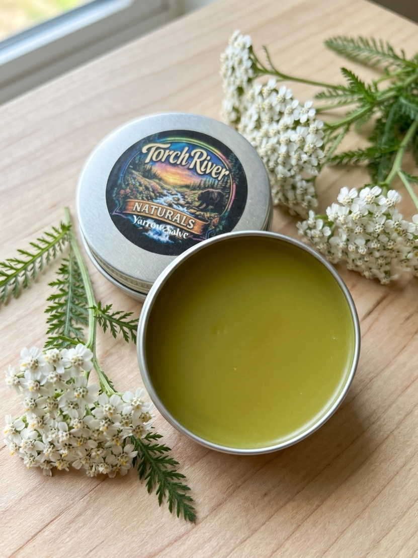 Yarrow Salve - Torch River Naturals