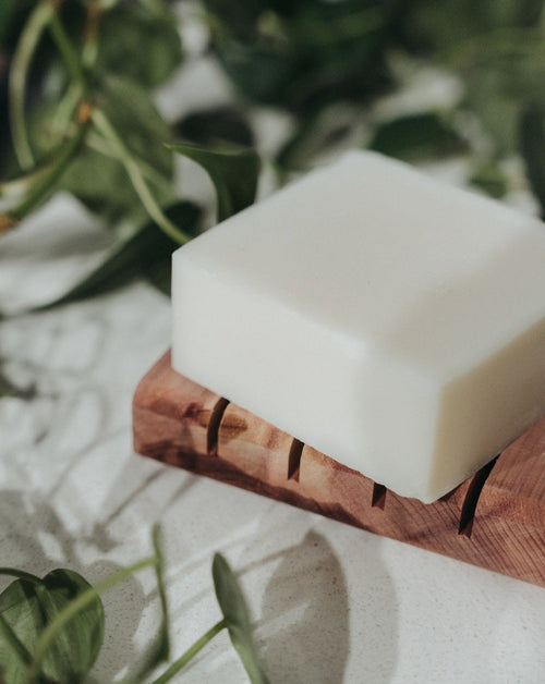 Solid Dish Soap Bar | Bergamot + Lime, Zero Waste