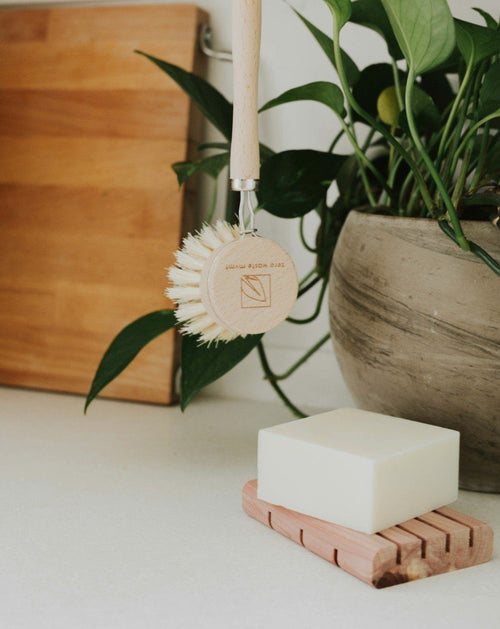 Solid Dish Soap Bar | Bergamot + Lime, Zero Waste