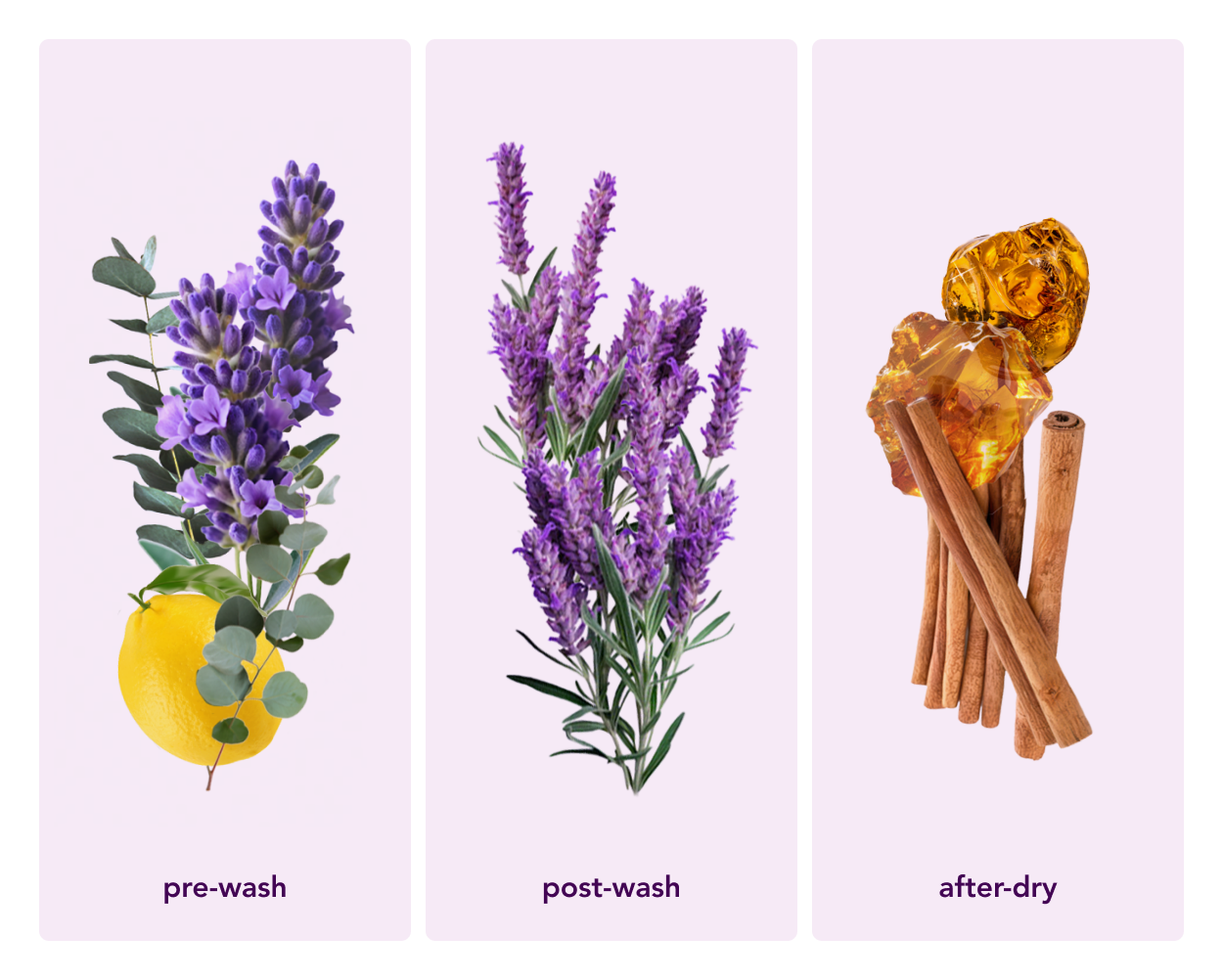 Zero Waste Laundry Detergent Sheets (Lavender Dream)