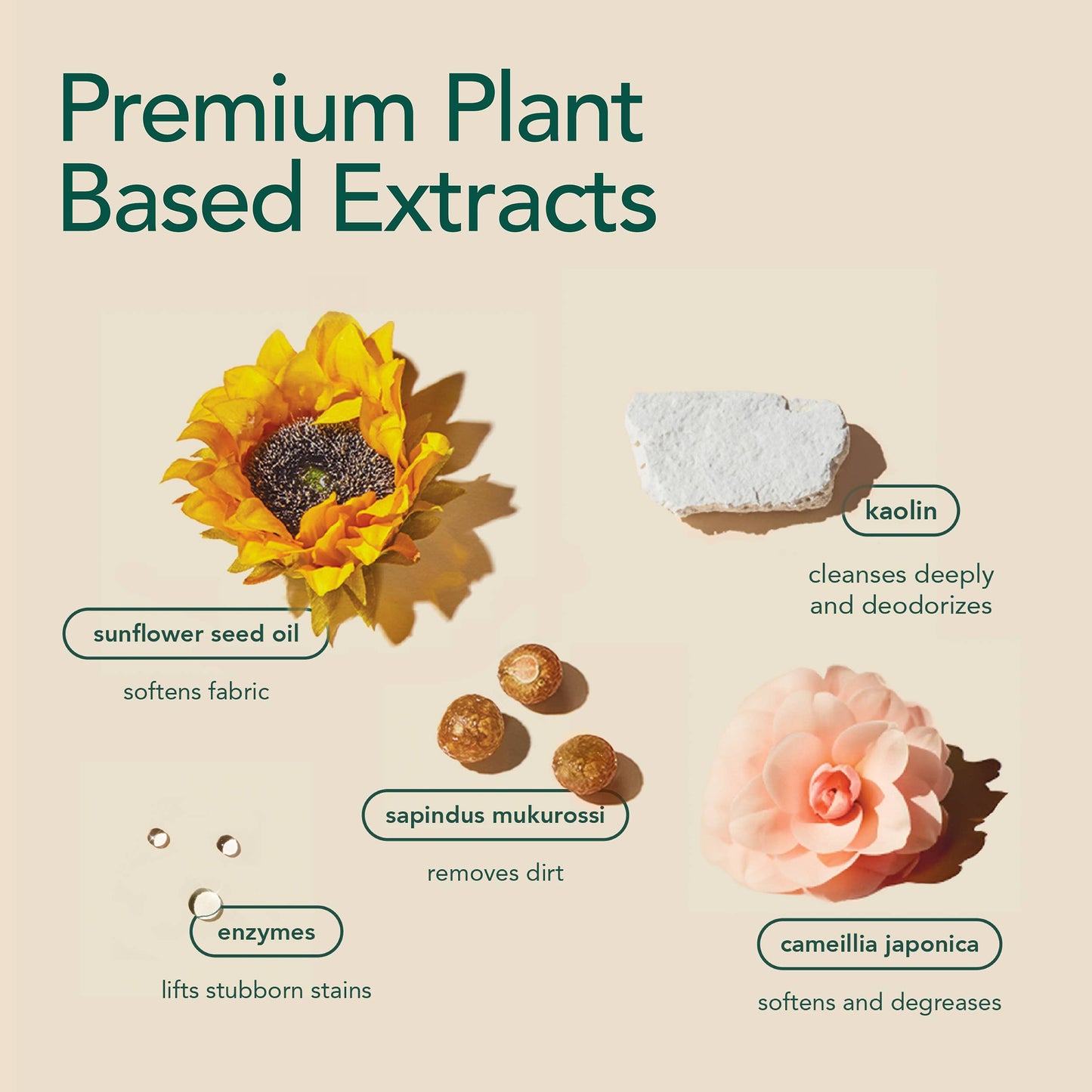 Zero Waste Laundry Detergent Sheets (Lavender Dream)