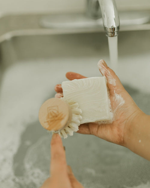 Solid Dish Soap Bar | Bergamot + Lime, Zero Waste